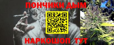 крисы Кулебаки