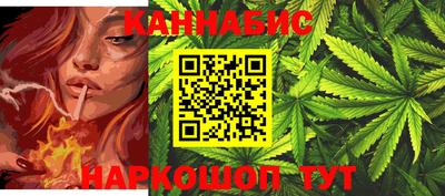 крисы Кулебаки