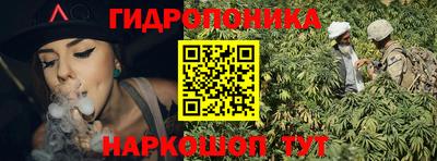 крисы Кулебаки