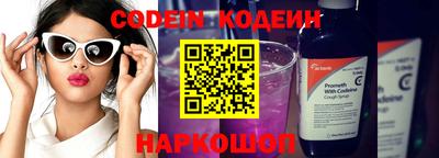 крисы Кулебаки